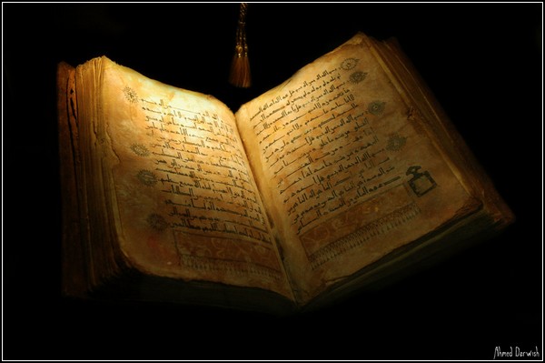 The_Holy_Book_by_DJVue