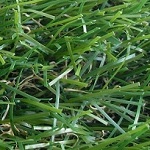 Преимущества искусственных травяных покрытий