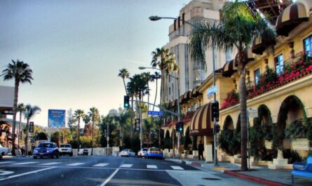 Heading: Hiring the Best West Hollywood Movers for a Stress-Free Move