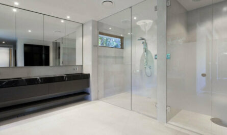 glass shower partiti