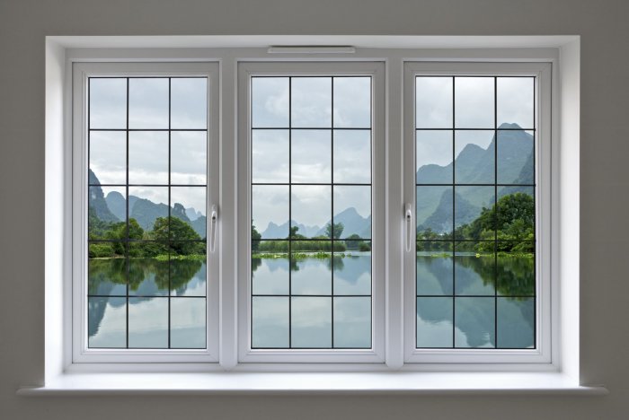 window 6 31212008